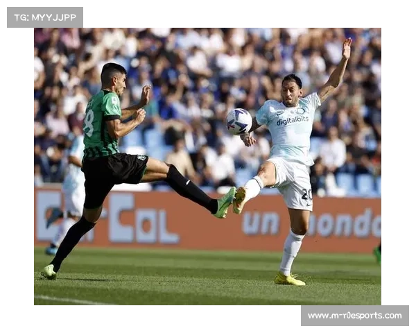 萨索洛主场草皮优质获赞，技术型球队表现更佳